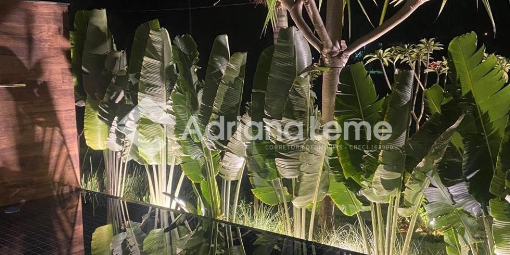 WhatsApp Image 2025-04-18 at 17.55.48 (1)