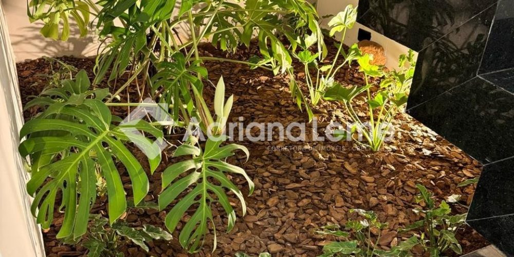 WhatsApp Image 2025-08-04 at 12.30.24