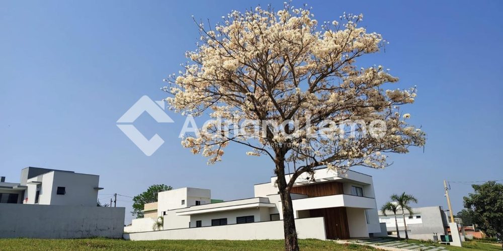 WhatsApp Image 2025-08-04 at 12.58.39