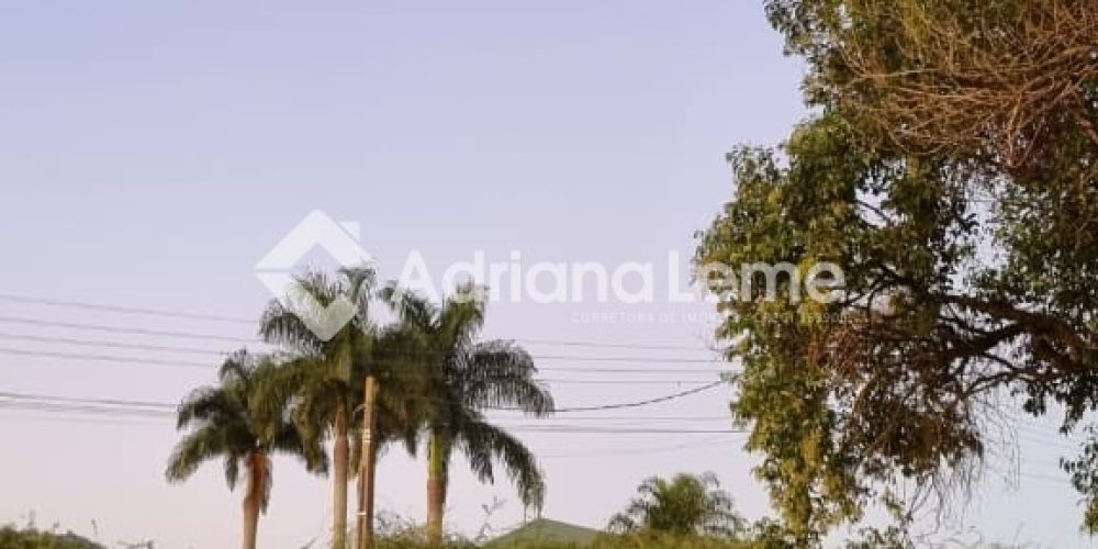 WhatsApp Image 2025-08-04 at 13.42.34