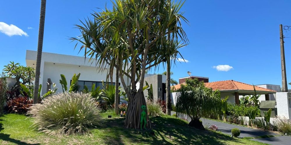 WhatsApp Image 2025-11-24 at 19.33.44