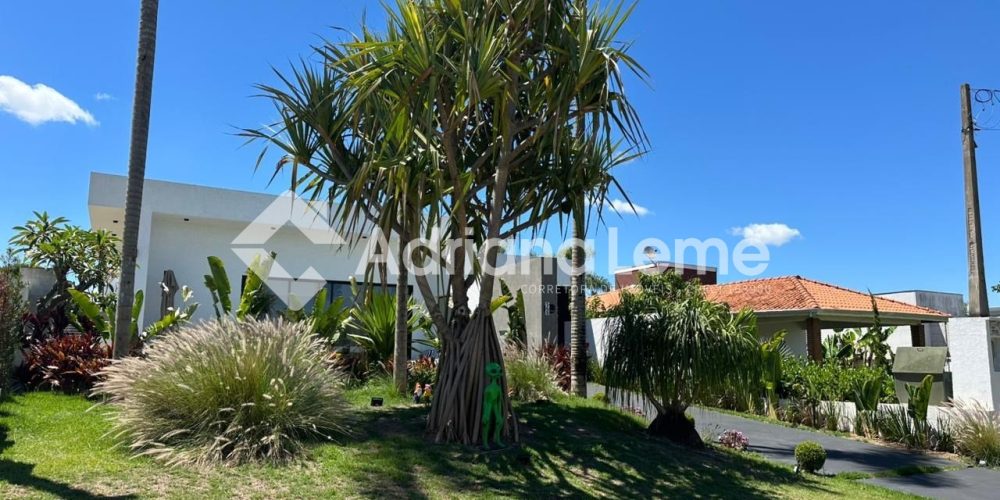 WhatsApp Image 2025-11-24 at 19.33.44