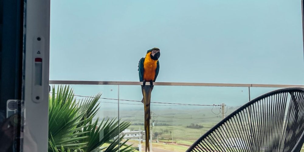 WhatsApp Image 2026-01-14 at 19.57.17 (1)