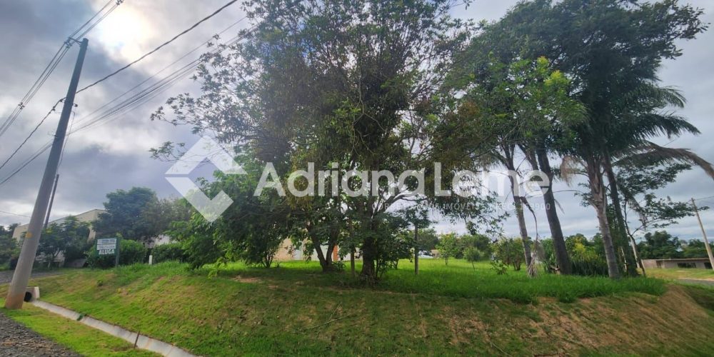 WhatsApp Image 2026-03-28 at 12.19.59 (1)